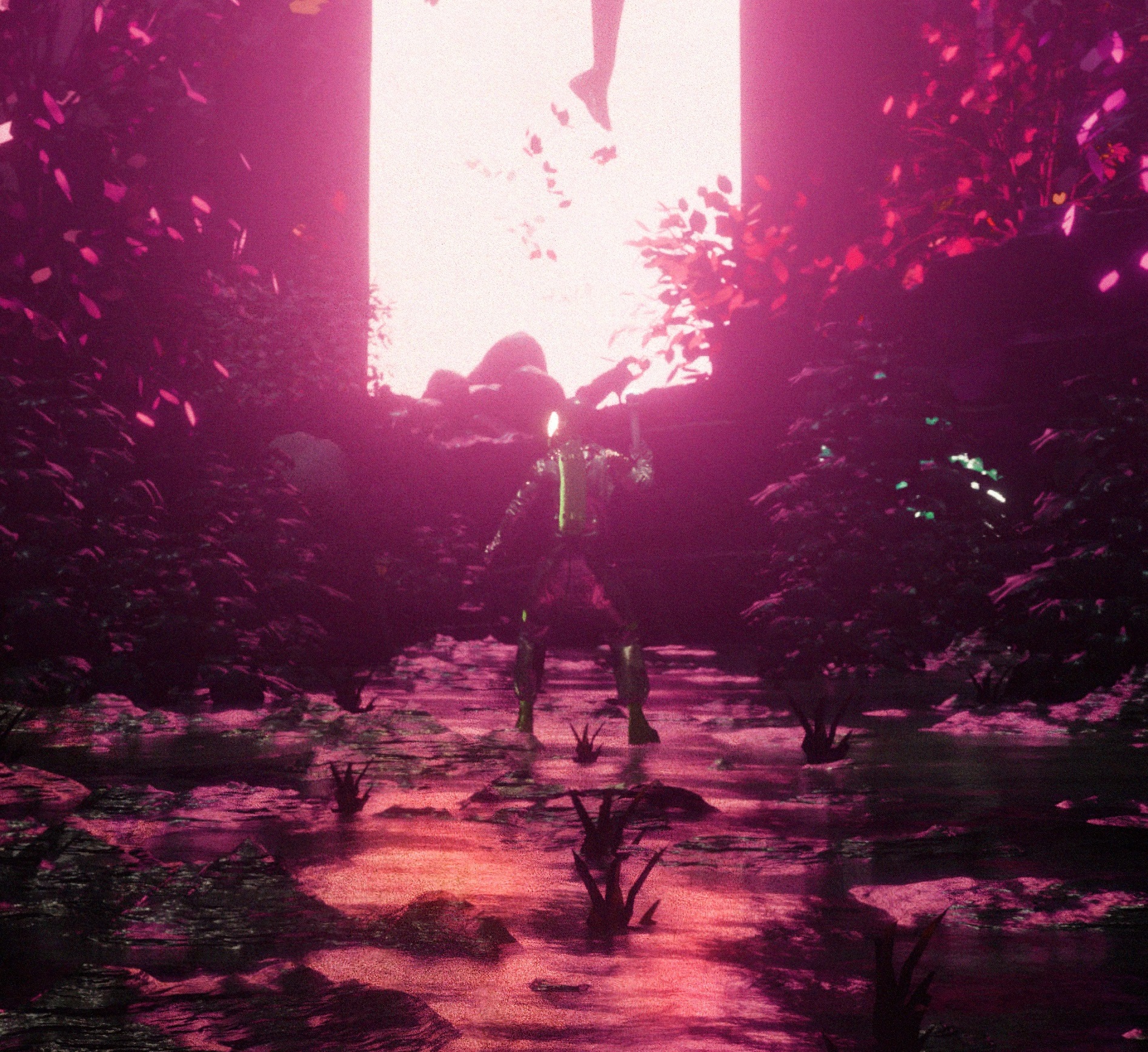 E L E V A T E